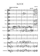 Beethoven Piano Sonata third movement arr. for Wind